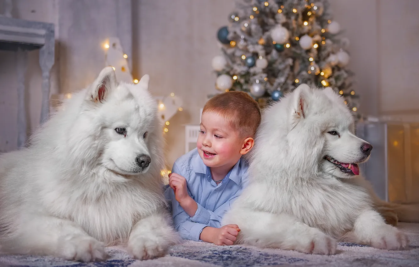 Photo wallpaper animals, dogs, holiday, new year, boy, pair, tree, child