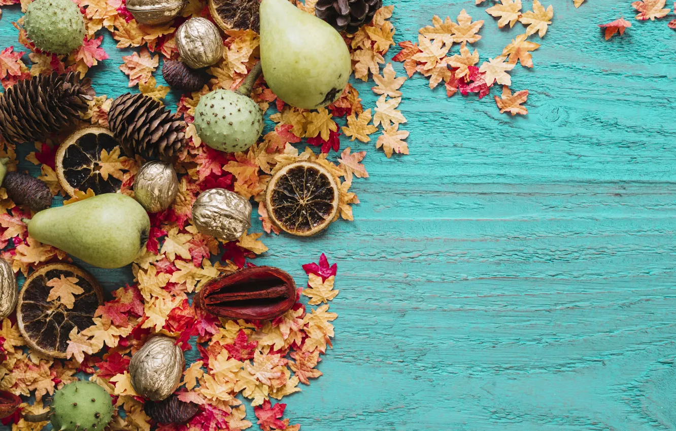 Photo wallpaper autumn, leaves, trees, background, orange, colorful, fruit, nuts