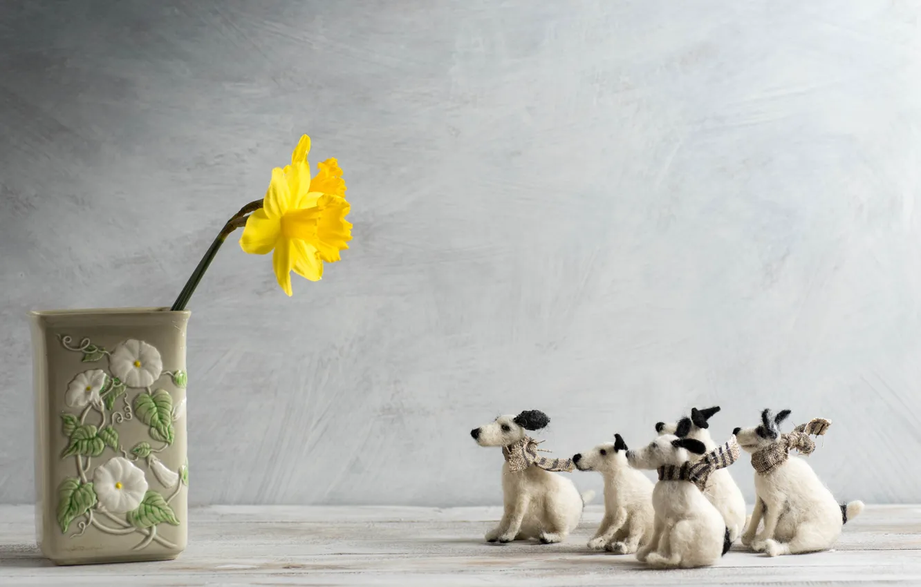 Photo wallpaper dogs, toys, vase, Narcissus
