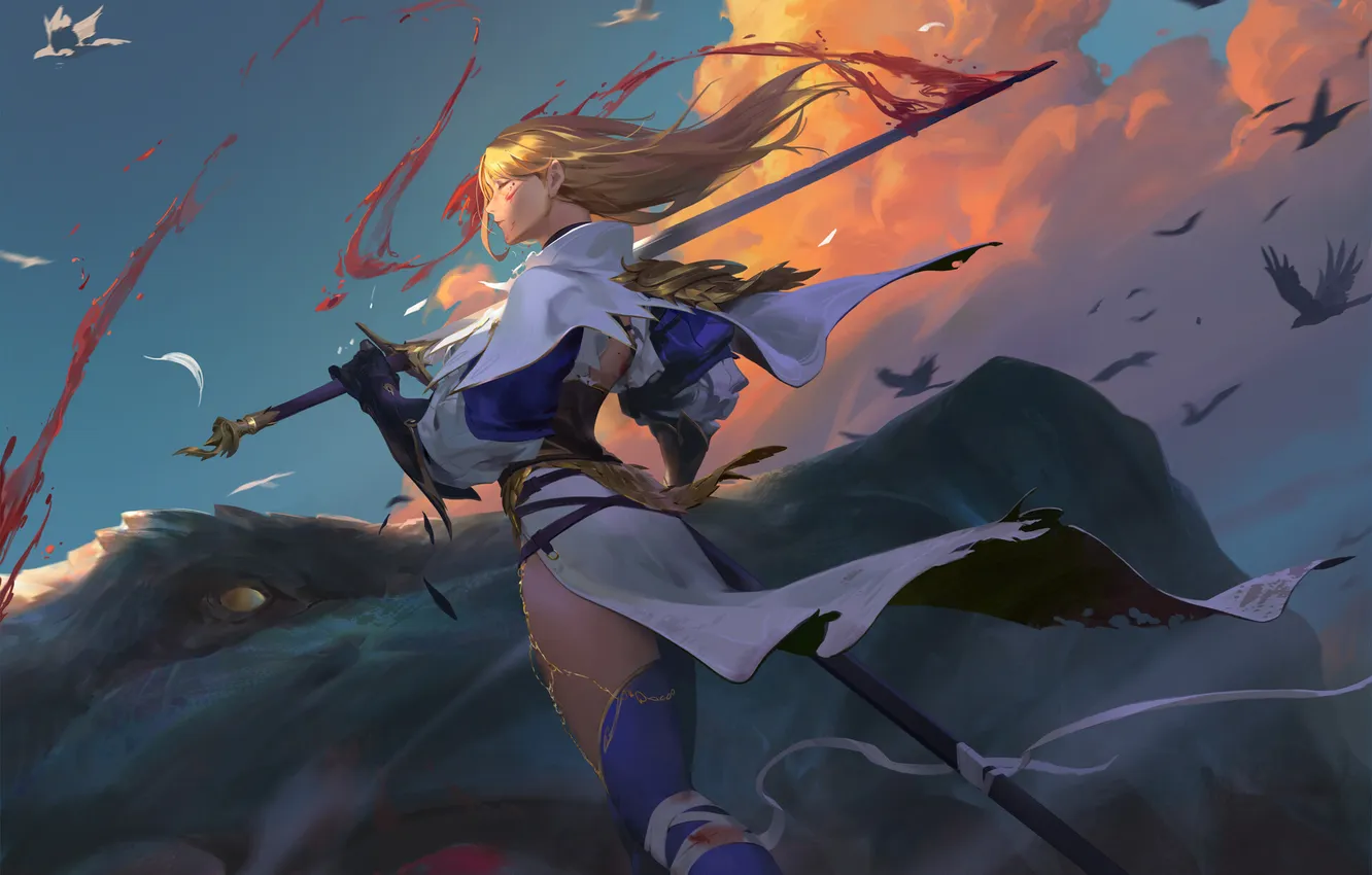 Photo wallpaper girl, sword, blood, fantasy, sky, clouds, birds, dragon