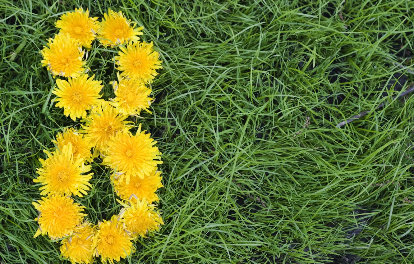 Photo wallpaper grass, flowers, yellow, green, dandelion, March 8, in the background, women's day