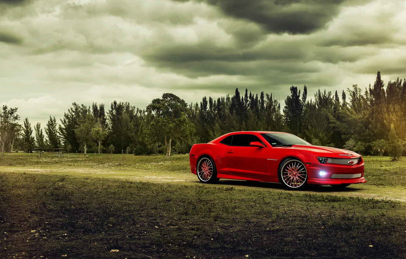Photo wallpaper trees, red, Chevrolet, Camaro, red, Chevrolet, muscle car, muscle car