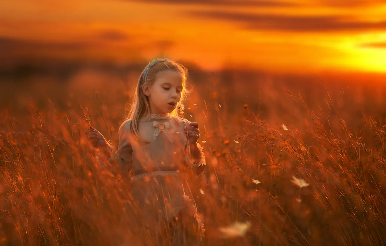 Photo wallpaper sunset, meadow, girl