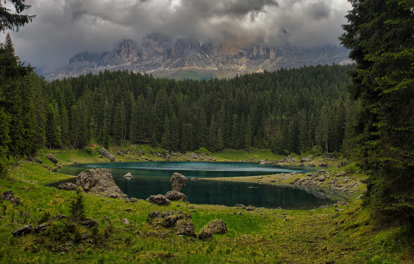 Photo wallpaper forest, grass, clouds, mountains, fog, lake, stones, rocks