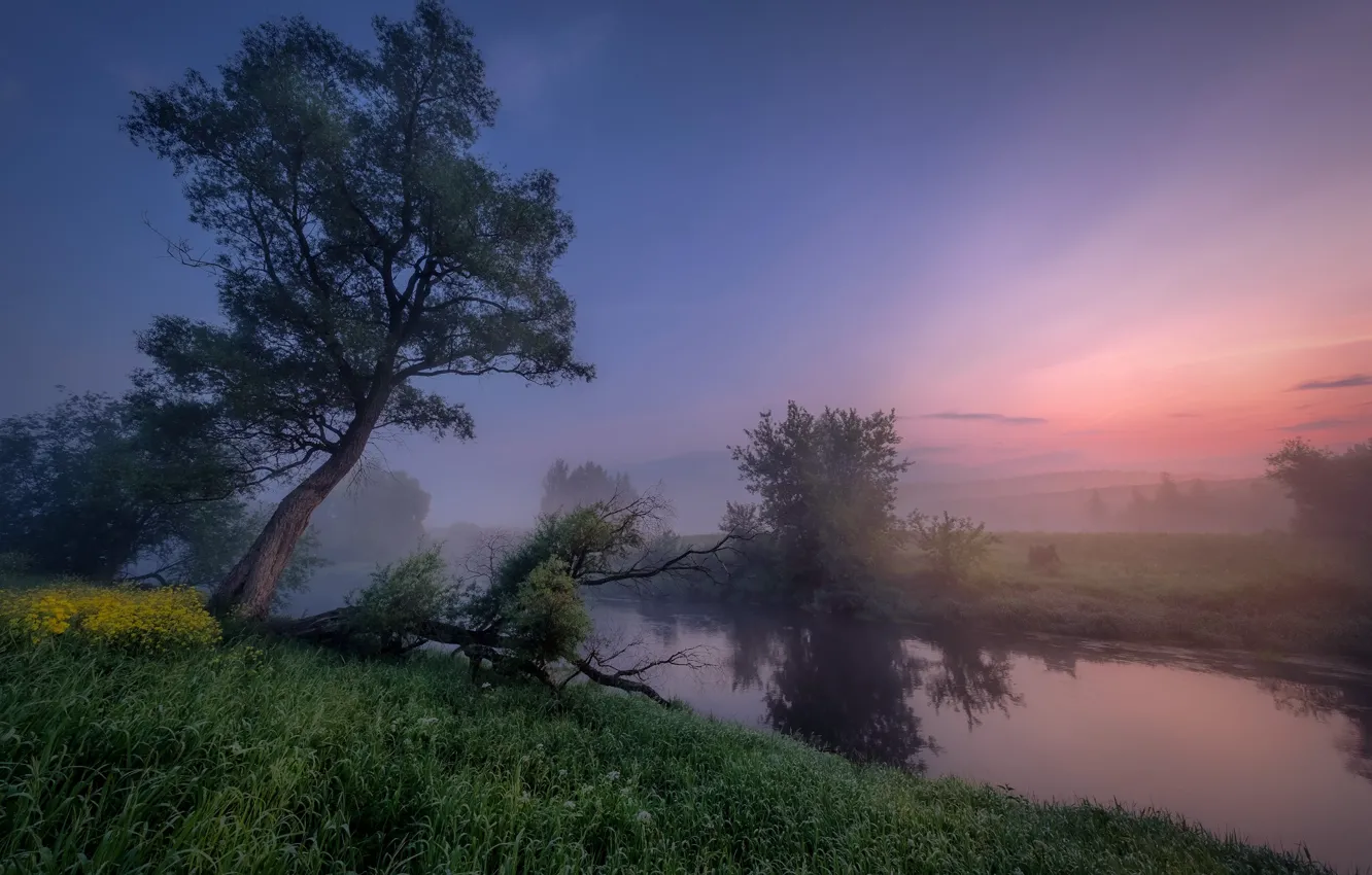 Photo wallpaper landscape, nature, fog, river, tree, dawn, morning, grass