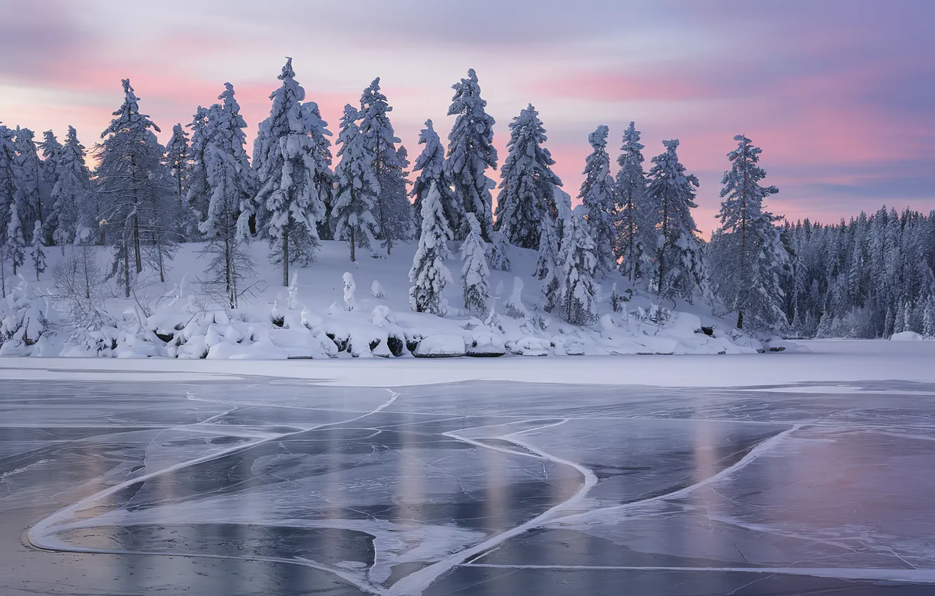 Photo wallpaper ice, winter, forest, nature, lake