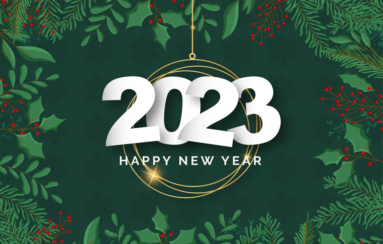 Photo wallpaper leaves, snowflakes, branches, lights, berries, new year, ring, fruit