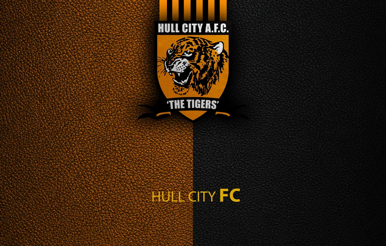 Photo wallpaper wallpaper, sport, logo, football, English Premier League, Hull City