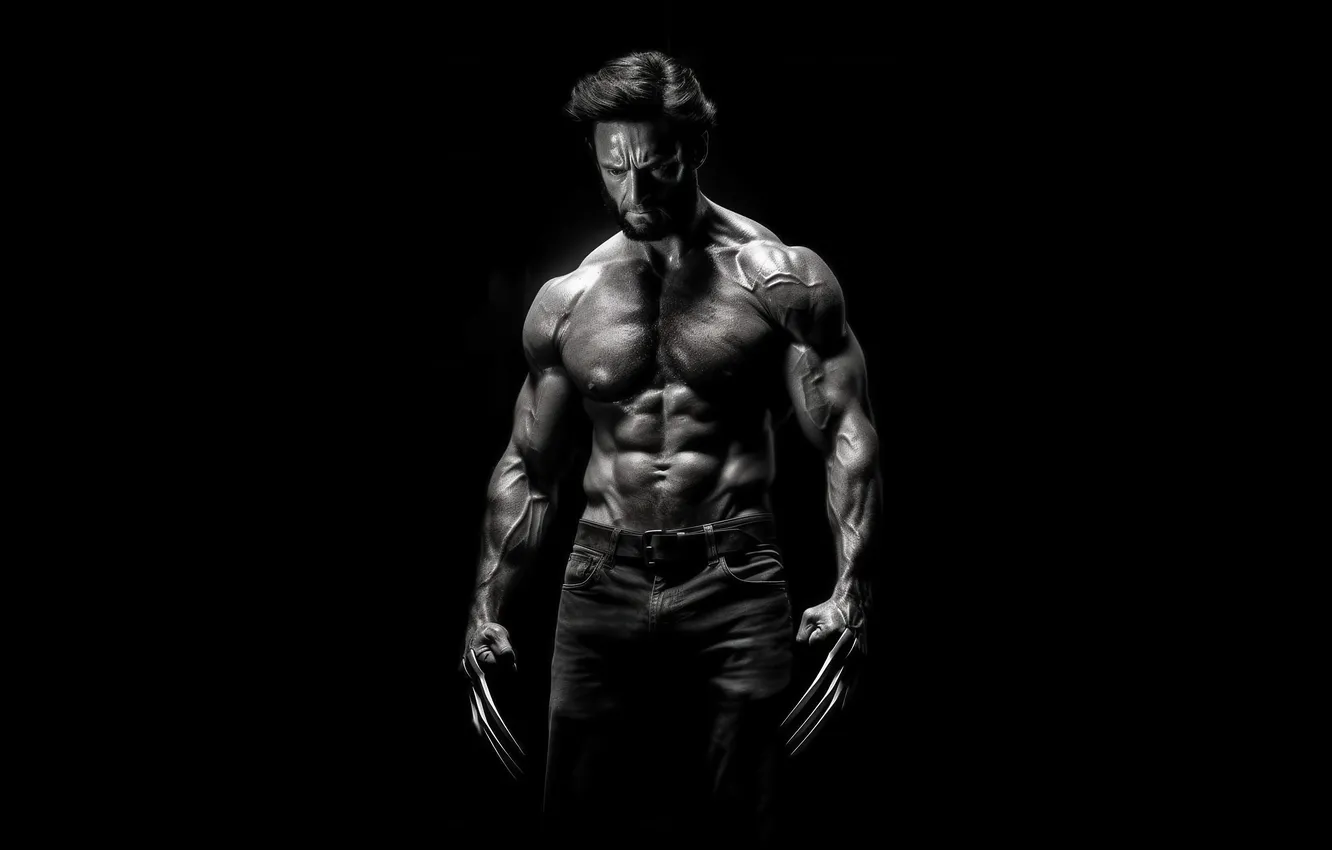 Photo wallpaper Wolverine, weapon, Unleashed