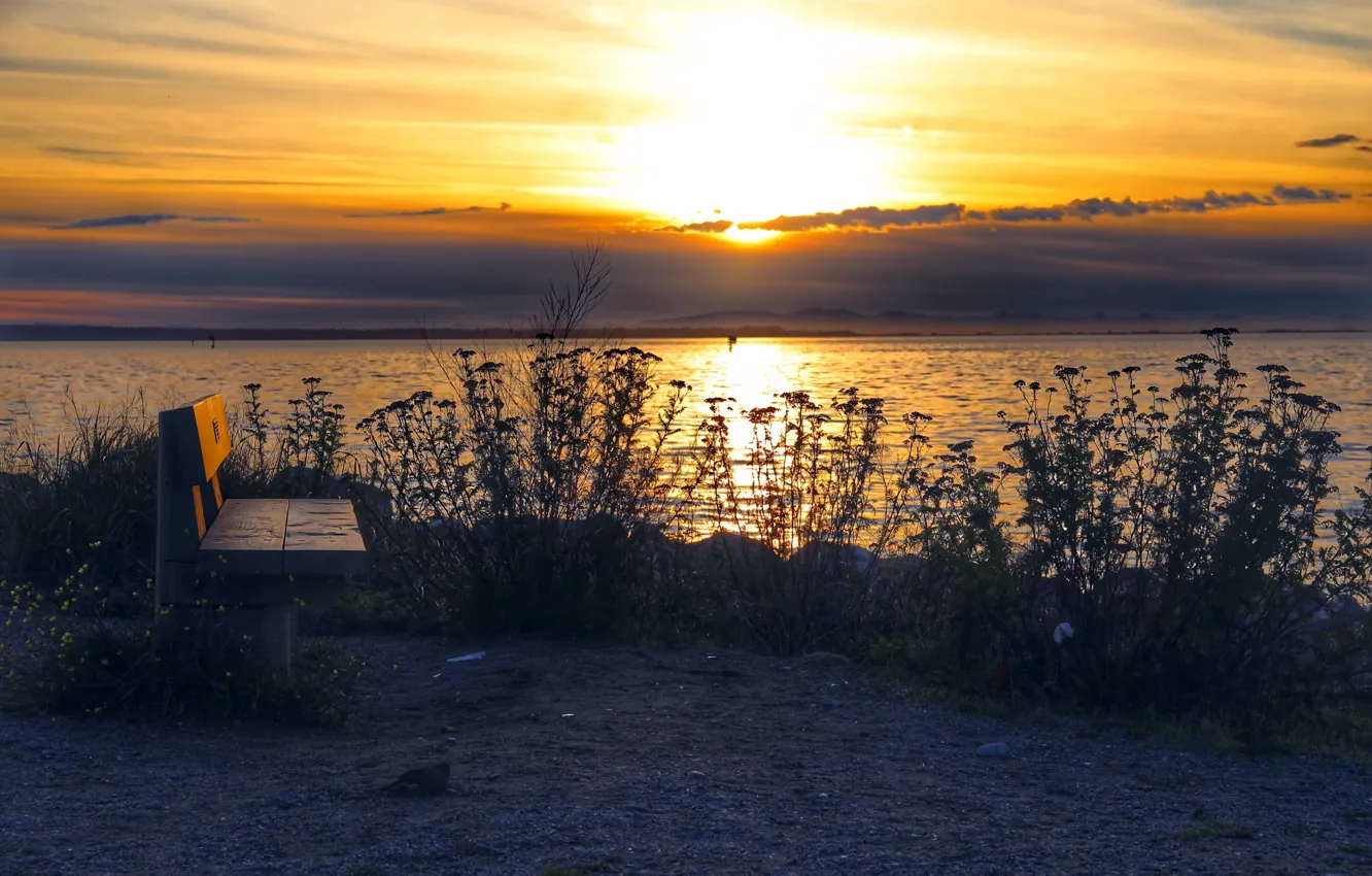 Photo wallpaper sunset, shore, bench