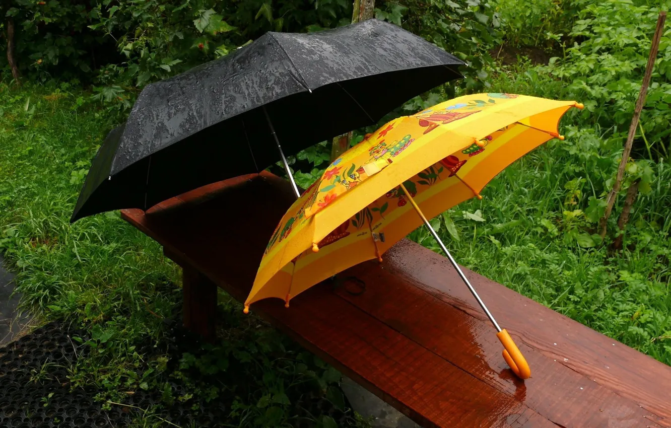 Photo wallpaper bench, rain, umbrellas