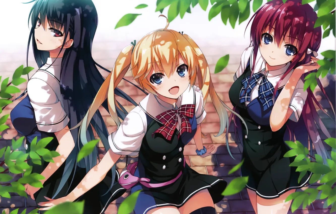 Photo wallpaper anime, art, grisa of no kajitsu, Amane Suou, Michiru Matsushima, Yumiko Sakaki