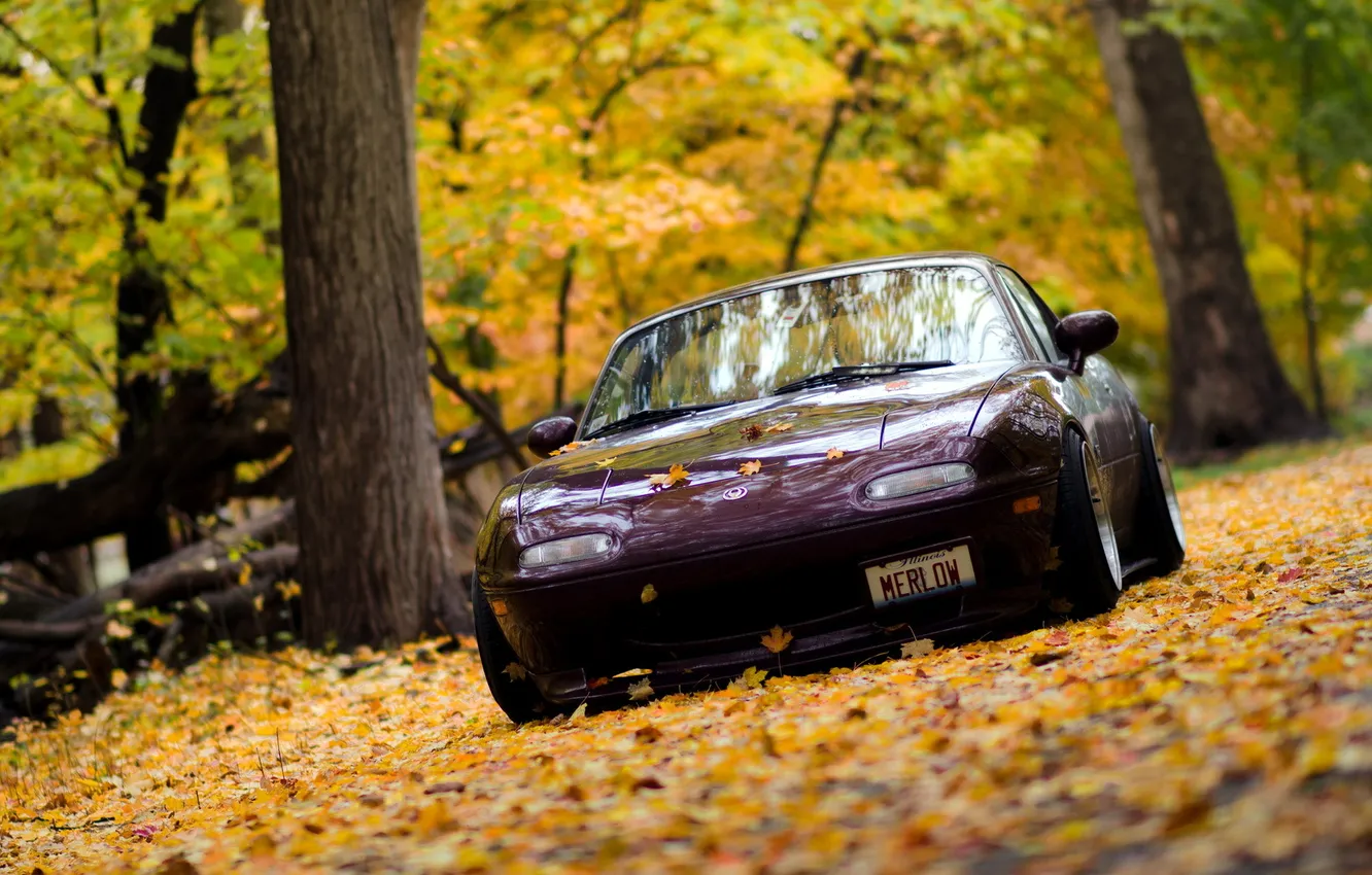 Photo wallpaper machine, autumn, Mazda, Miata