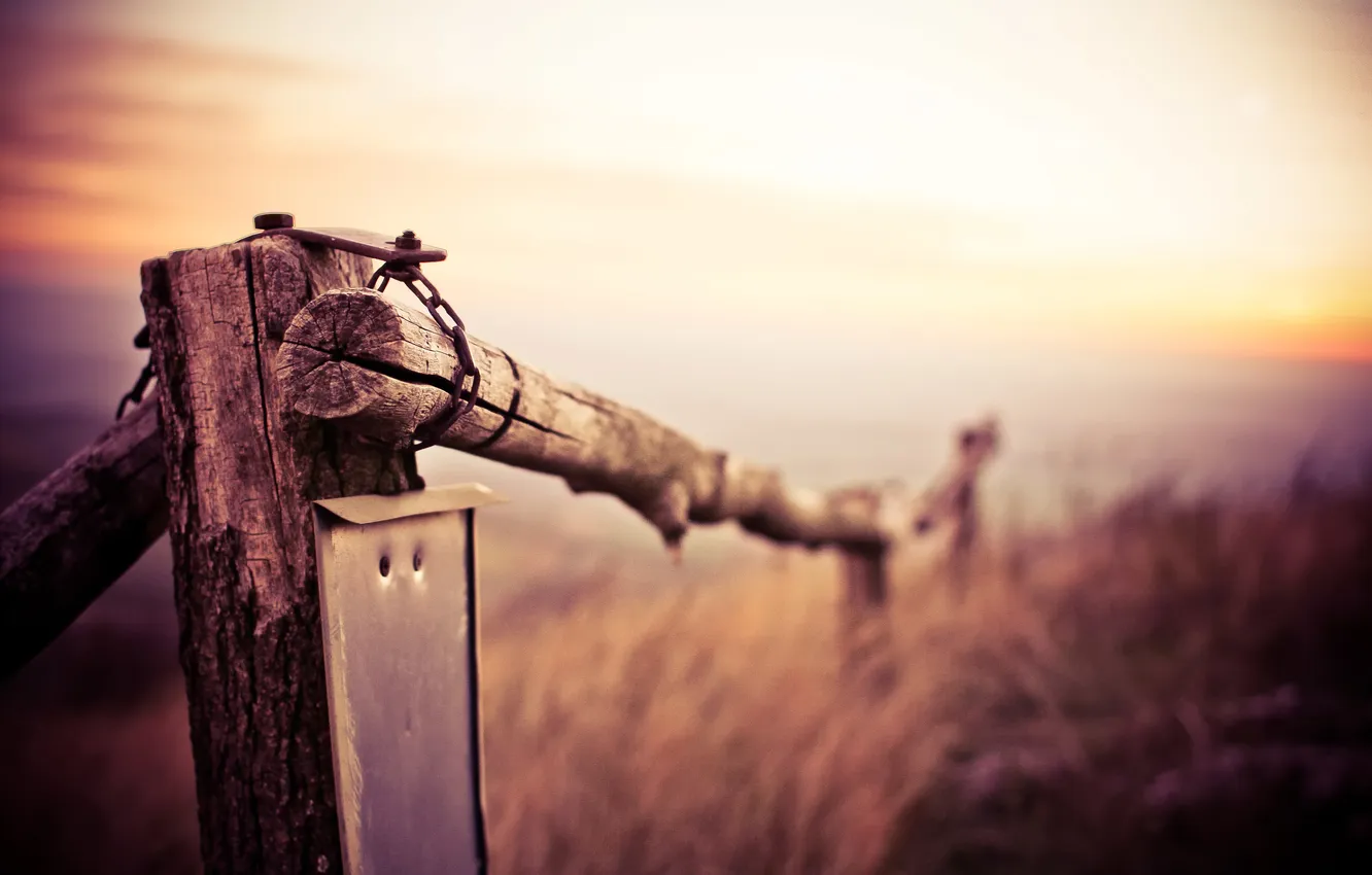 Photo wallpaper field, macro, nature, The fence, the fence, logs, bokeh
