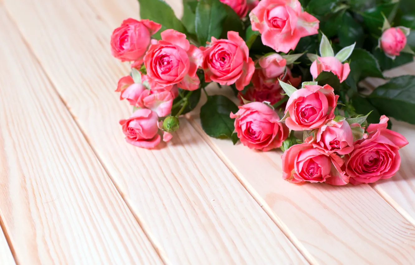 Photo wallpaper roses, bouquet, pink, qwartm