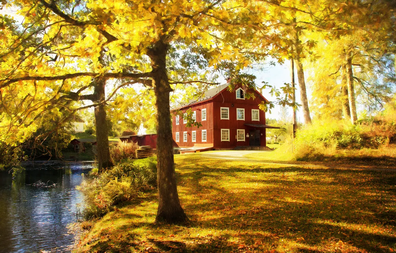 Photo wallpaper autumn, trees, house, Park, foliage, Golden autumn