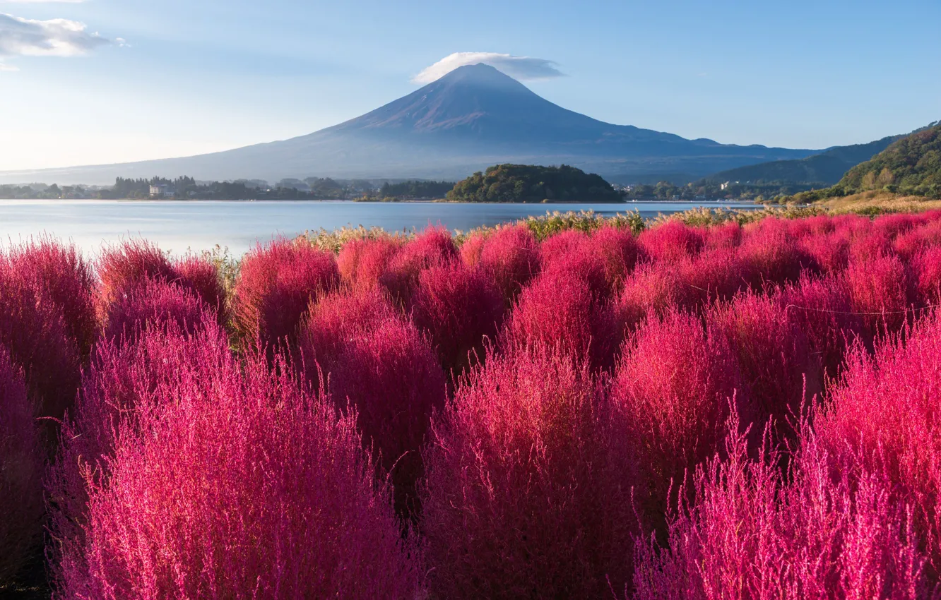 Photo wallpaper mountains, Asia, shrub