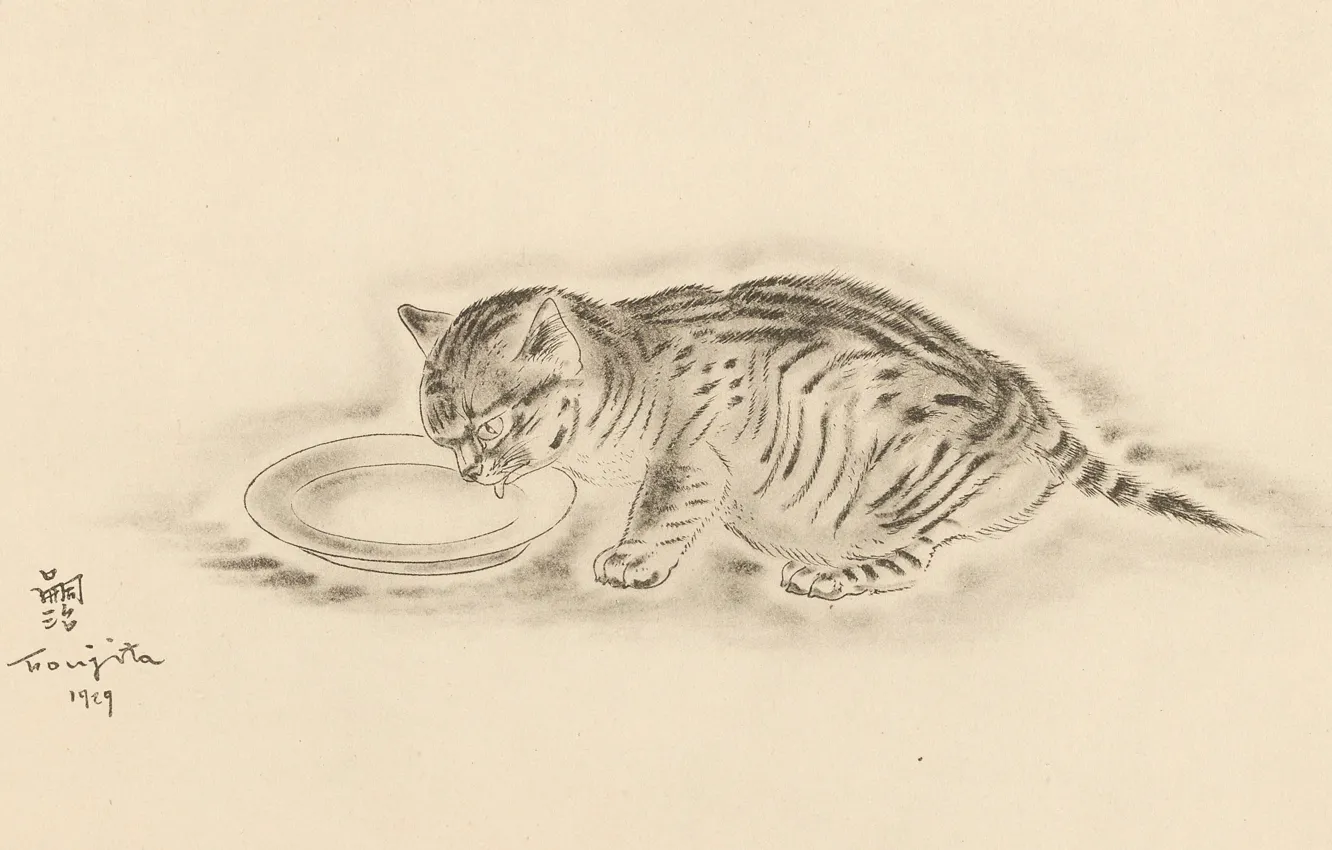 Photo wallpaper cat, milk, bowl, drinking, 1929, lapping, Tsuguharu, Fujita