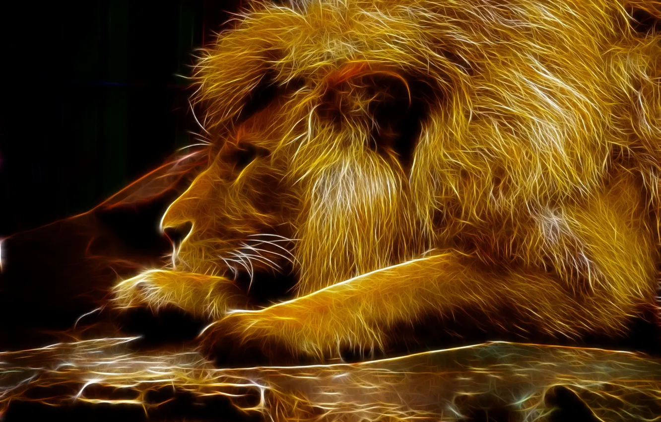 Photo wallpaper the dark background, black, Leo