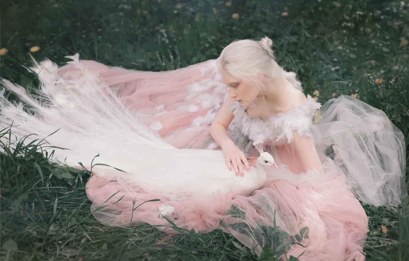 Photo wallpaper style, Princess, peacock, pink dress, image, glade, costume, girl