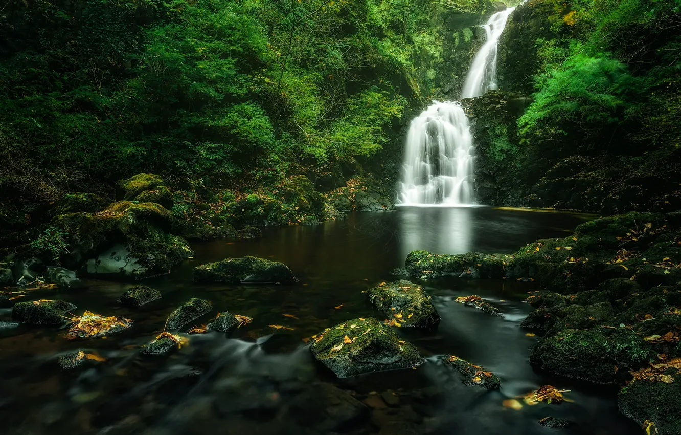Photo wallpaper forest, river, stones, photo, waterfall