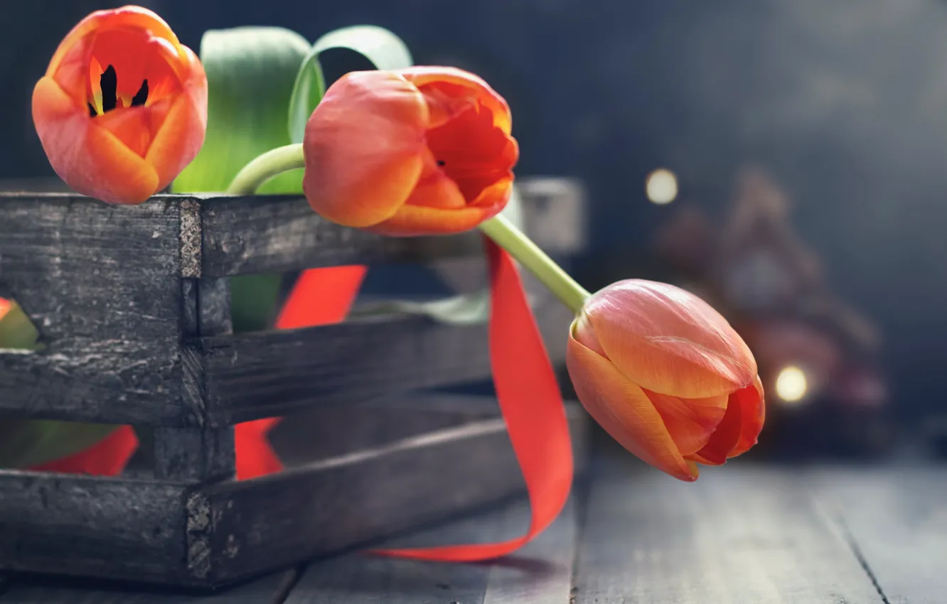 Photo wallpaper flowers, tulips, box