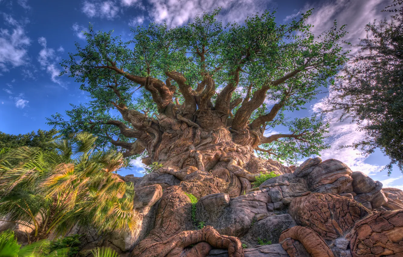 Photo wallpaper leaves, trees, branches, trunk, crown