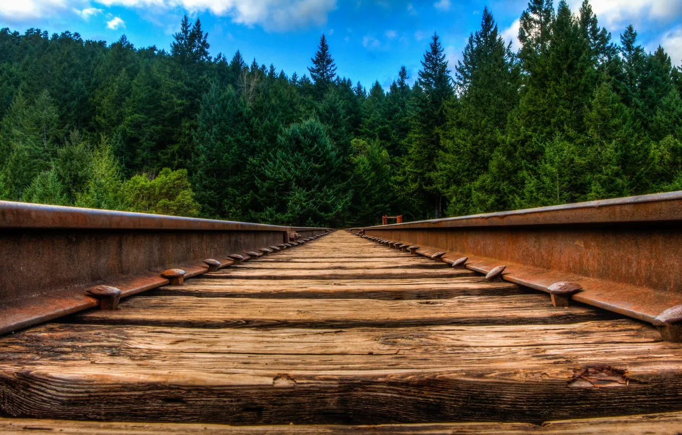 Photo wallpaper macro, landscape, railroad