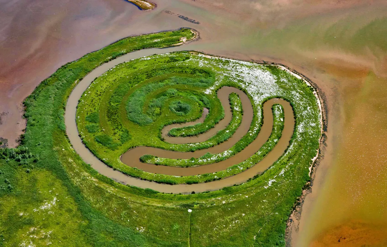 Photo wallpaper Netherlands, installation, Paul de Kort, De Biesbosch National Park