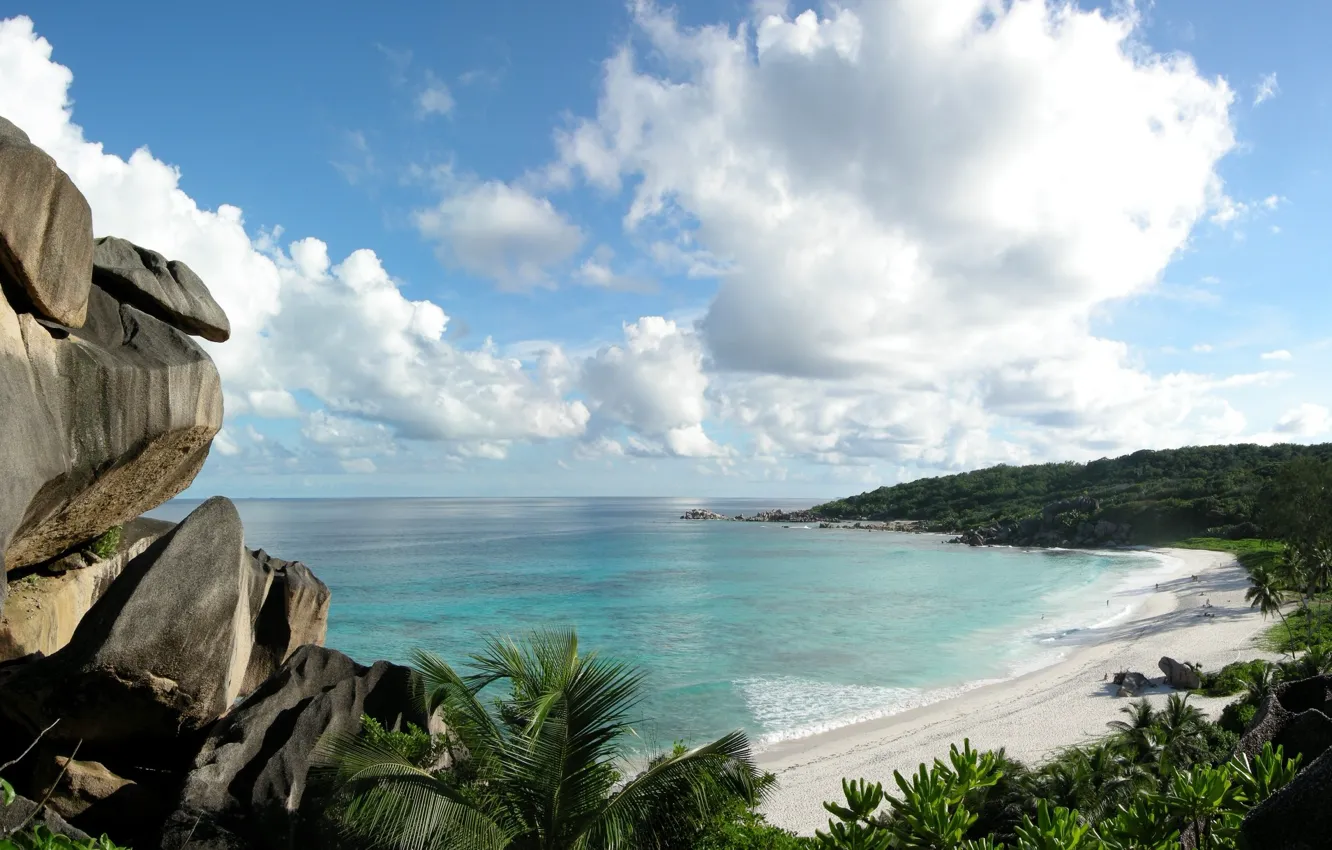 Photo wallpaper sea, stones, palm trees, shore
