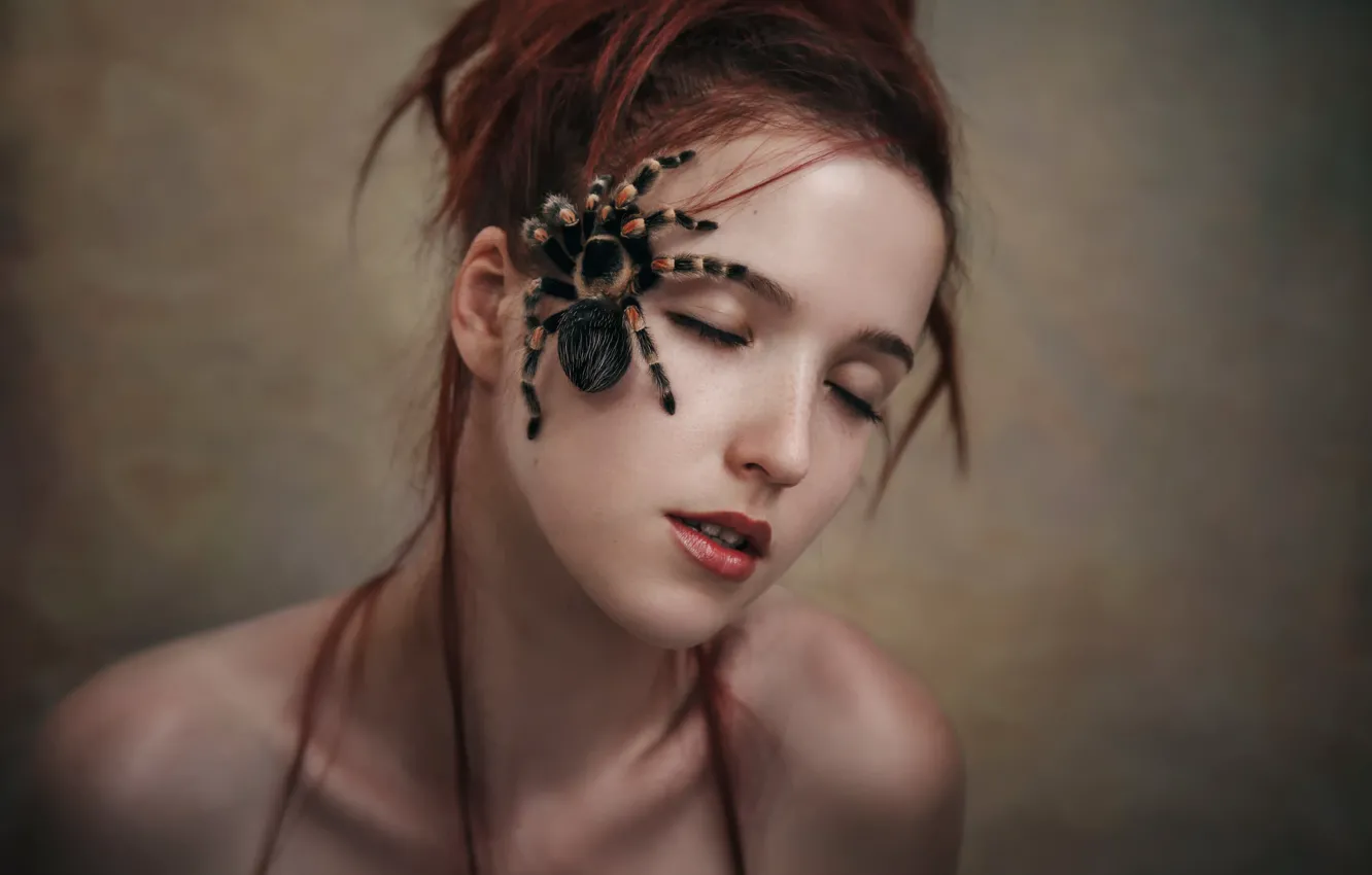 Photo wallpaper girl, face, spider, Andrey Vasilyev, Anna Larionova