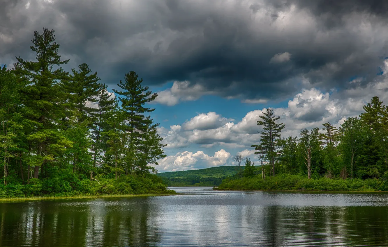 Photo wallpaper trees, landscape, nature, lake, beauty