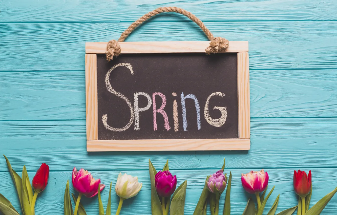 Photo wallpaper flowers, Board, tulips, buds