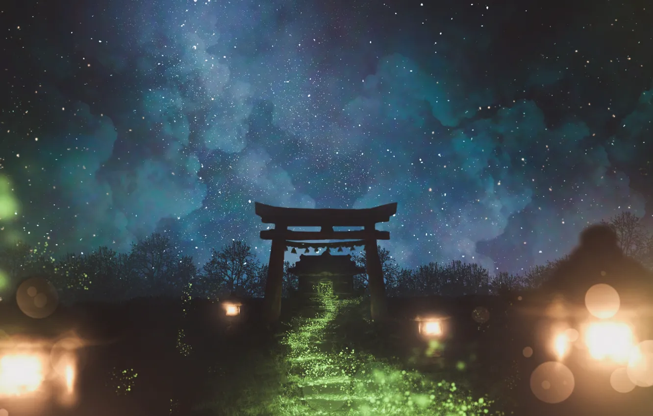 Photo wallpaper the sky, night, nature, torii