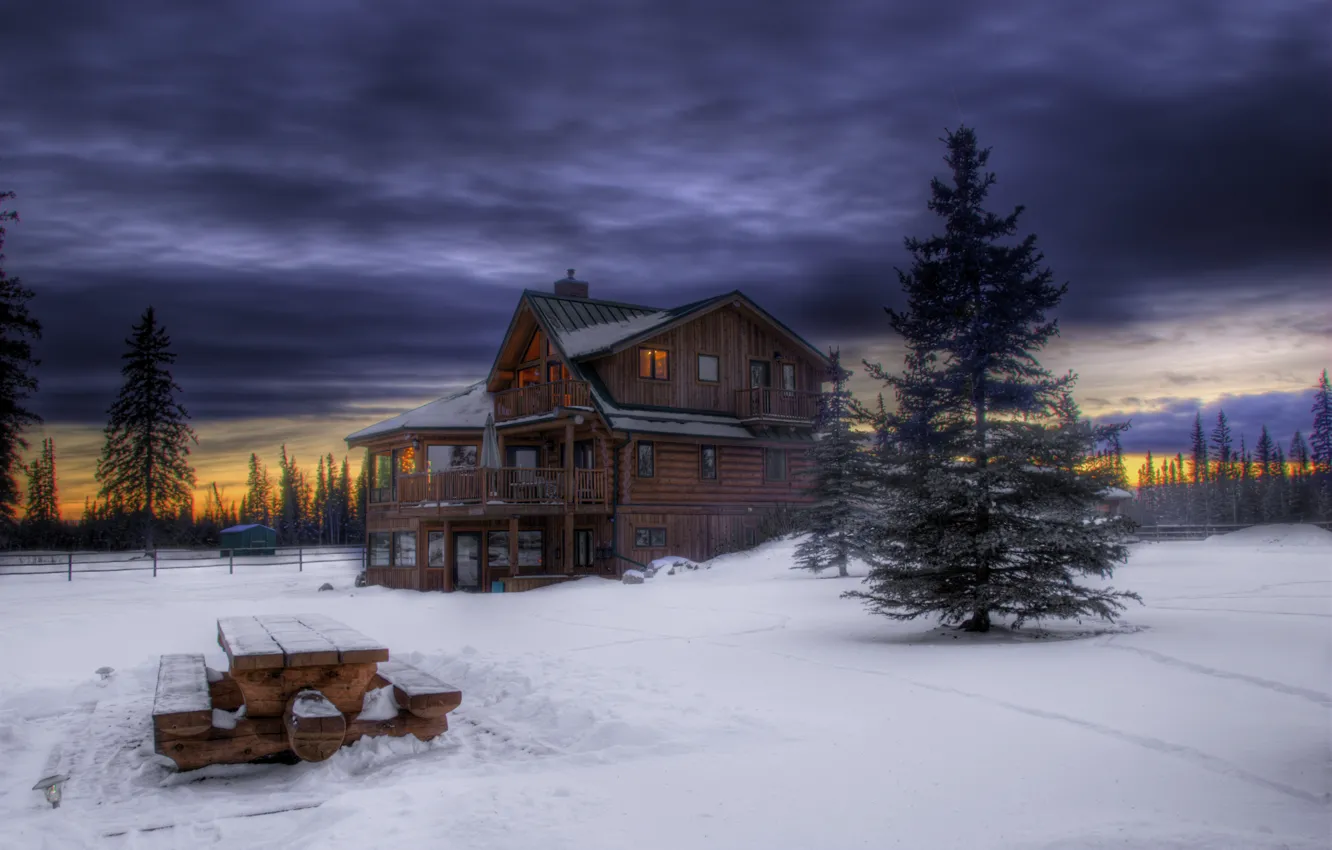 Photo wallpaper winter, forest, the sky, snow, trees, sunset, clouds, tree