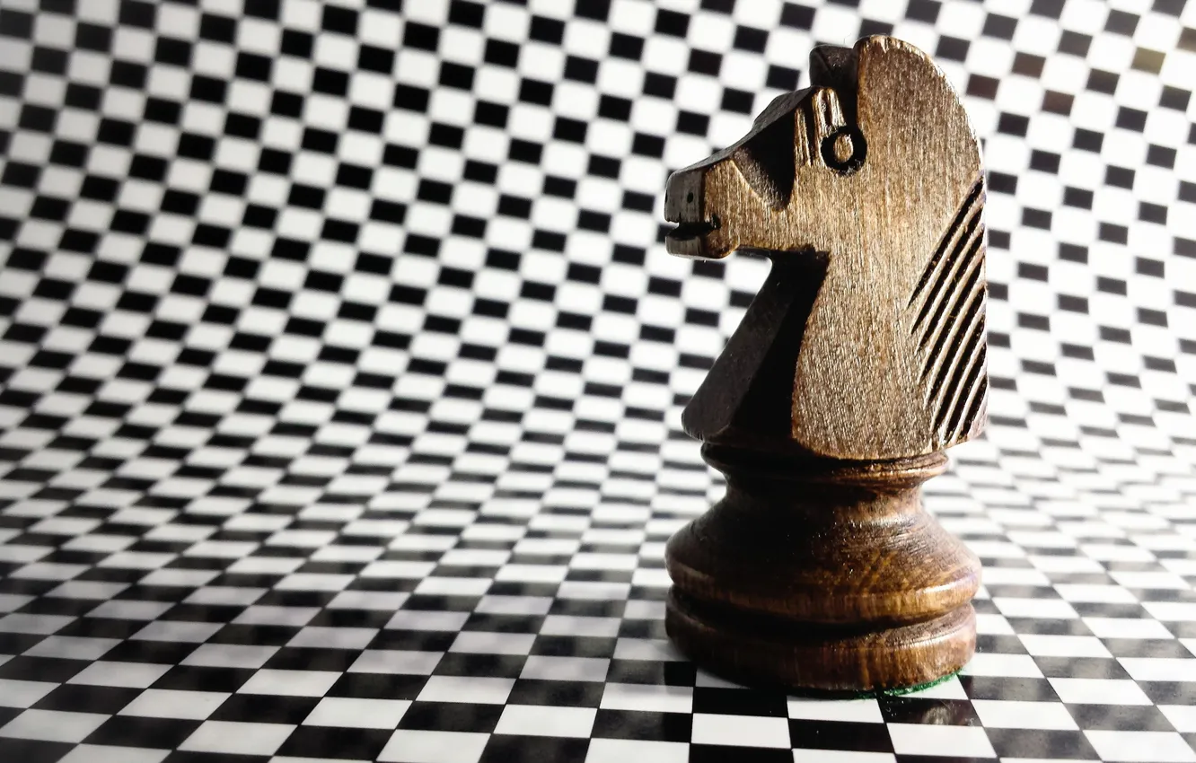 Photo wallpaper macro, horse, figure