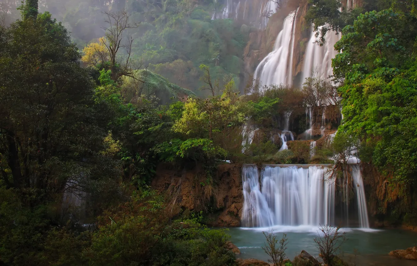 Photo wallpaper leaves, trees, nature, waterfall, jungle