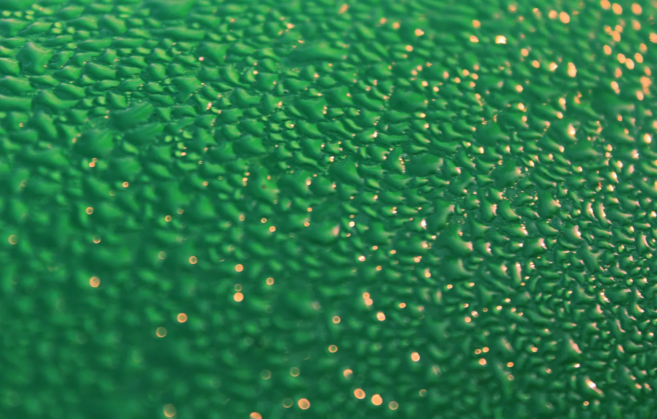 Photo wallpaper water, drops, macro