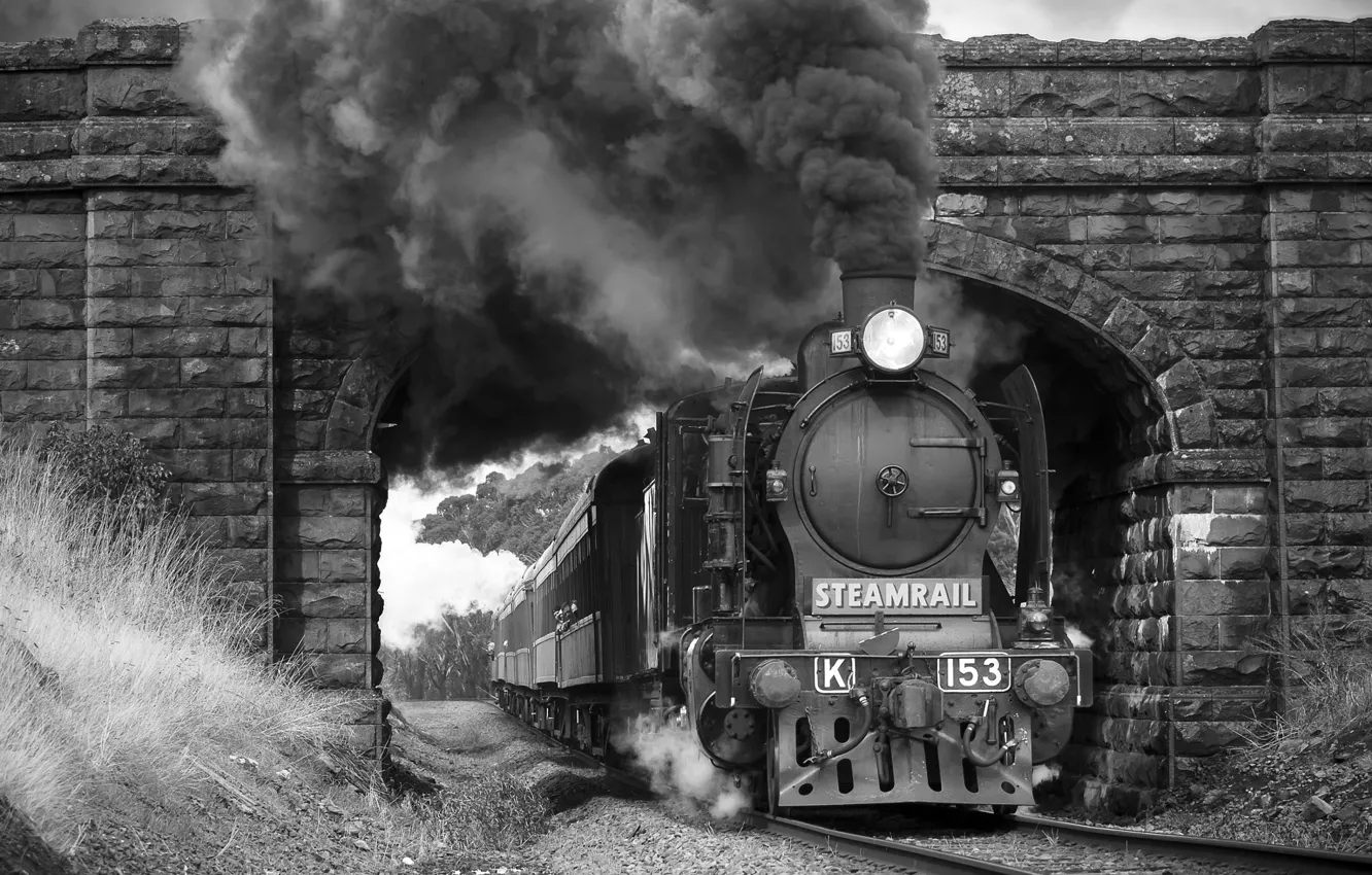 Photo wallpaper bridge, smoke, train, the engine, black and white