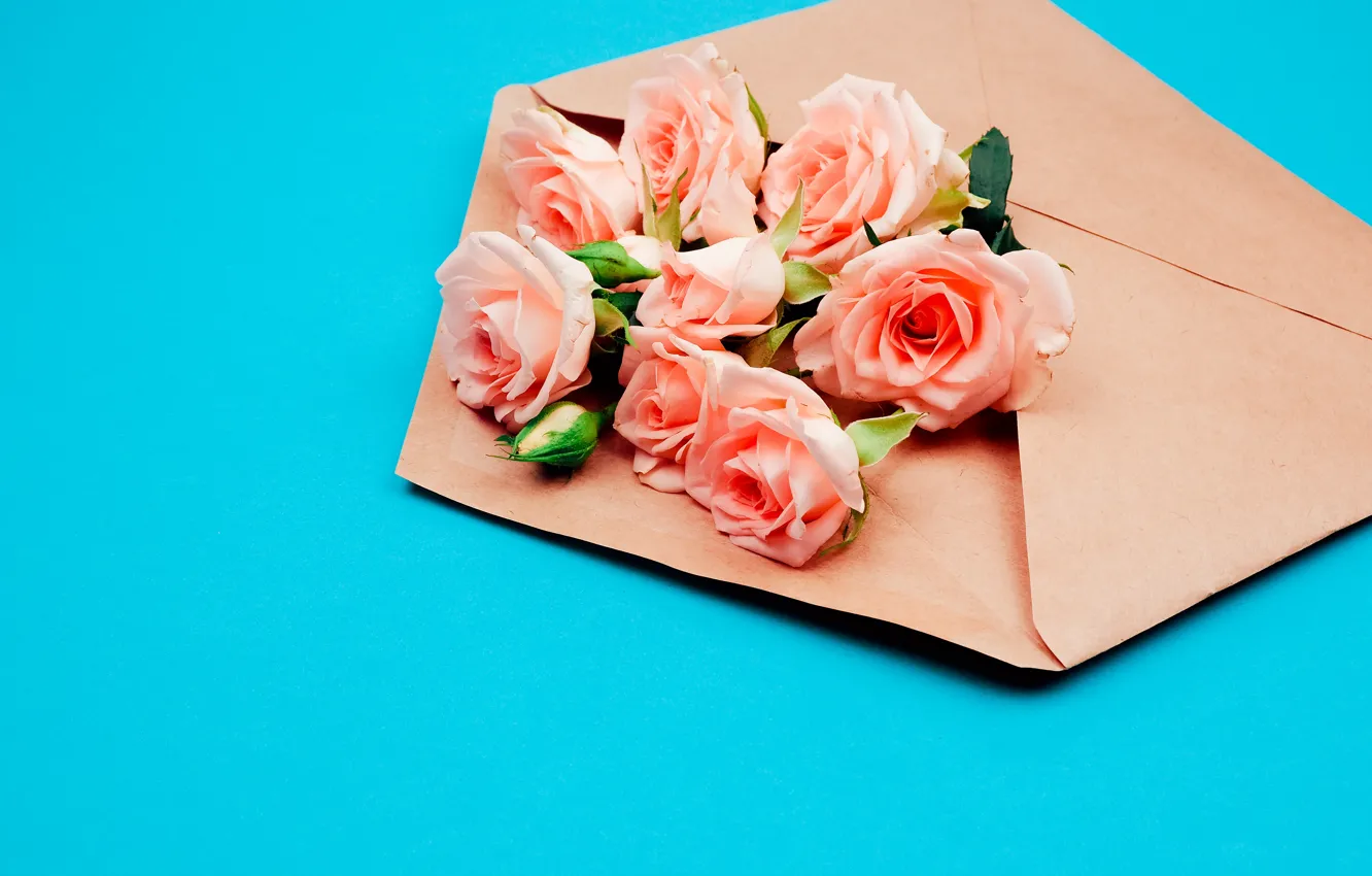 Photo wallpaper flowers, roses, the envelope