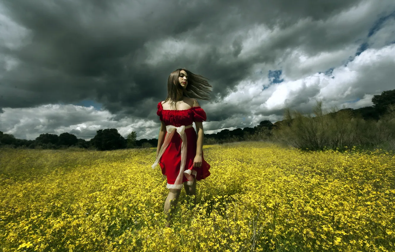 Photo wallpaper field, summer, the sky, girl