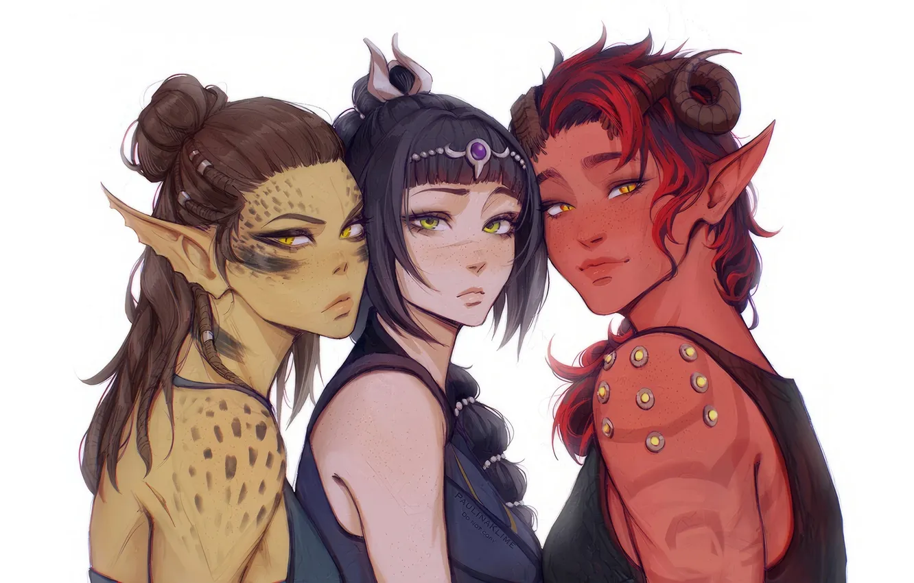 Photo wallpaper Baldur's Gate 3, Paulina Klime, Baldur’s Gate 3, Shadowheart, Lae'zel, Karlach