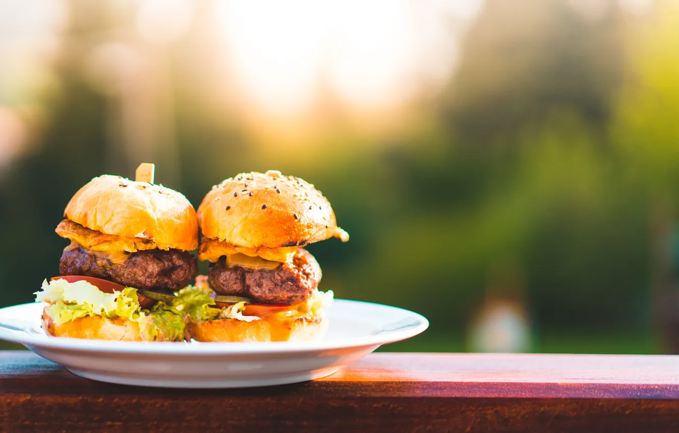 Photo wallpaper delicious, dish, burger