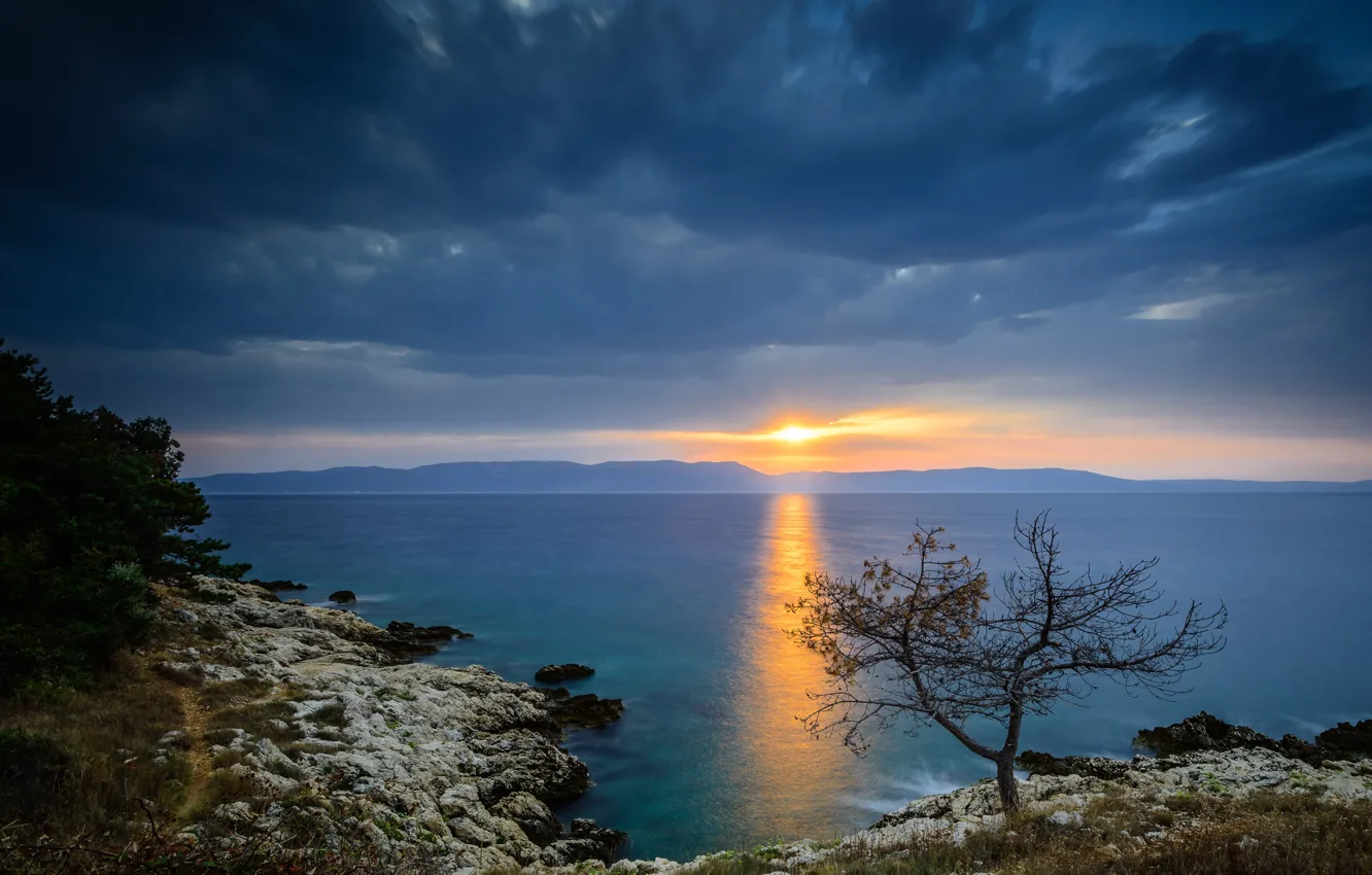 Photo wallpaper sea, the sky, sunset, tree, coast, Croatia, Istria, Croatia