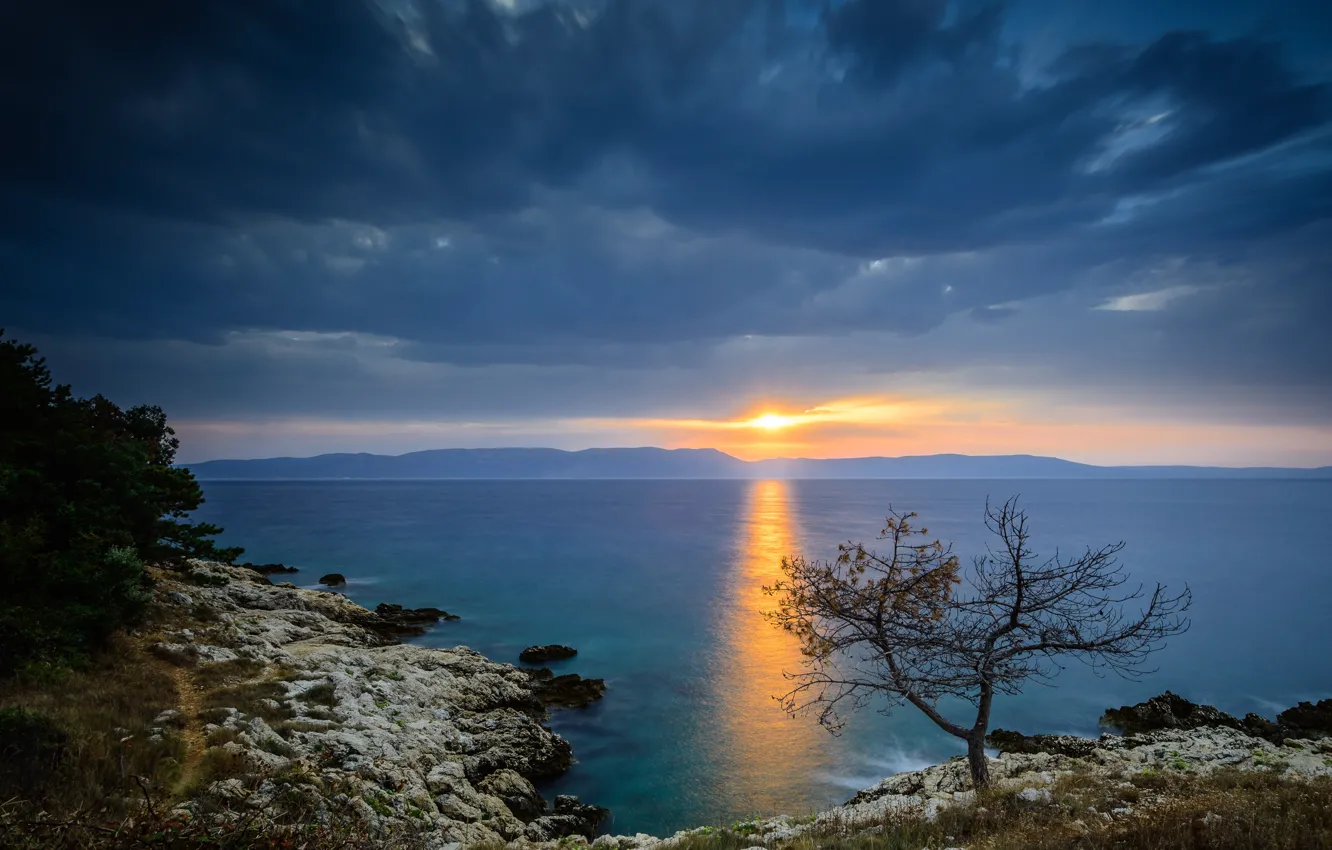 Photo wallpaper sea, the sky, trees, sunset, coast, Croatia, Istria, Croatia