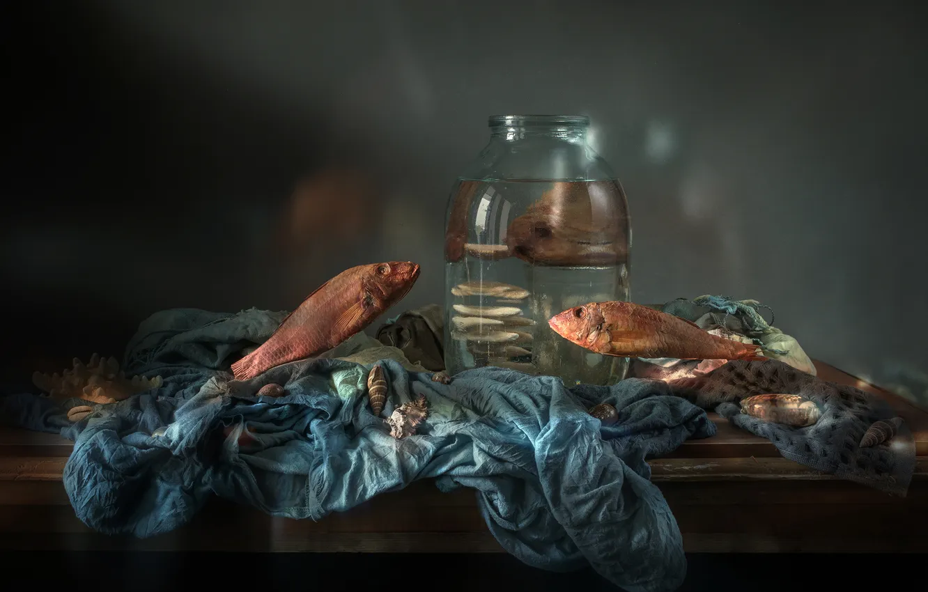 Photo wallpaper fish, still life, setting, Irina Shipunova