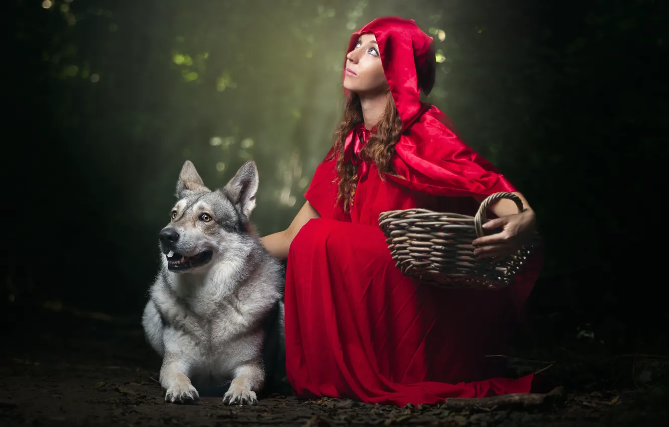 Photo wallpaper girl, dog, hood, cloak, basket, Little red riding Hood and Grey Wolf