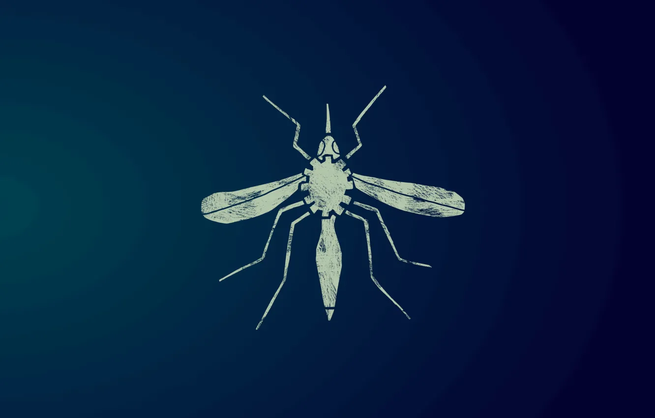 Photo wallpaper Microsoft, insect, the mosquito, Premonition
