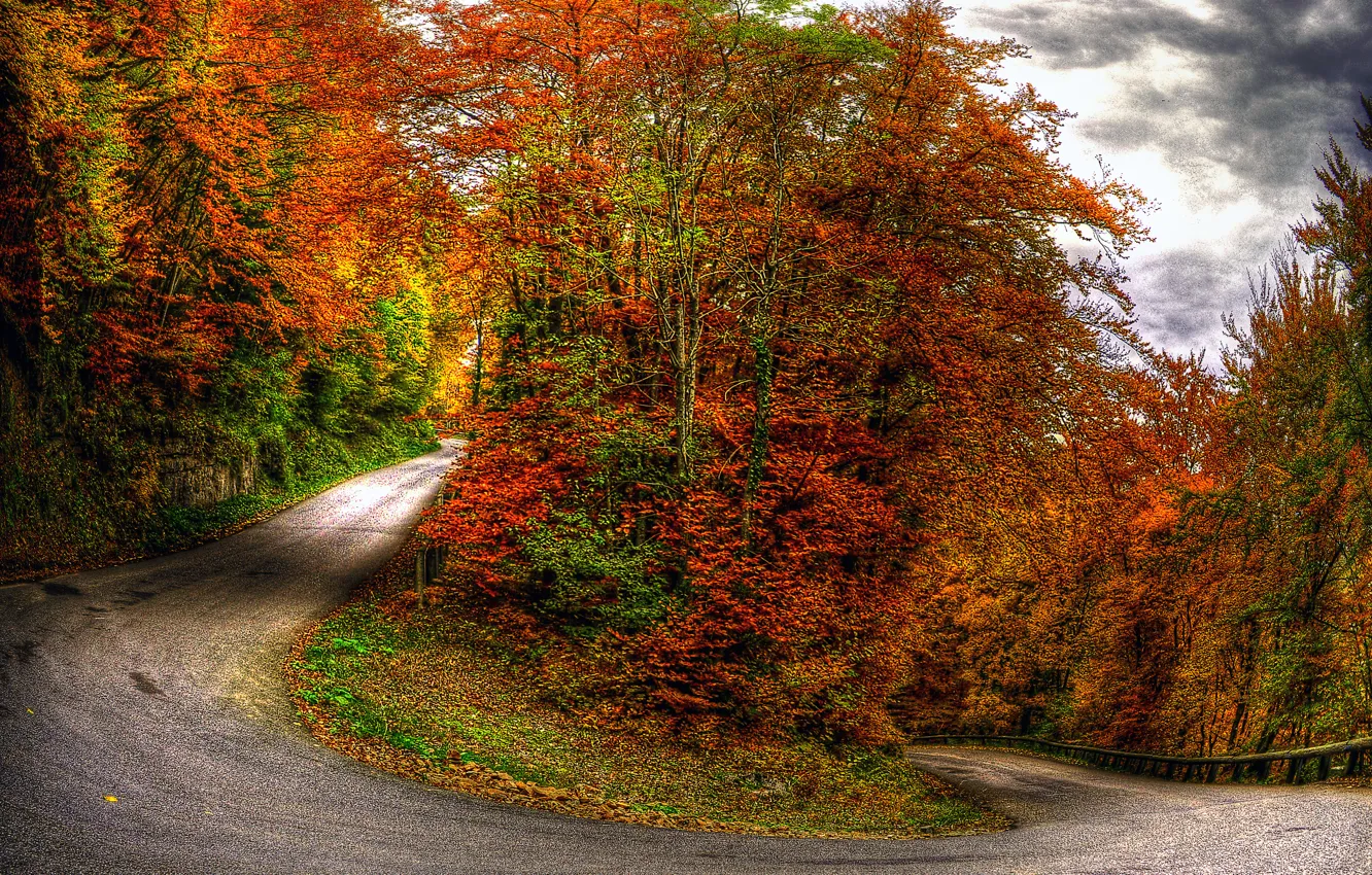Photo wallpaper autumn, forest, the sky, clouds, trees, landscape, nature, road