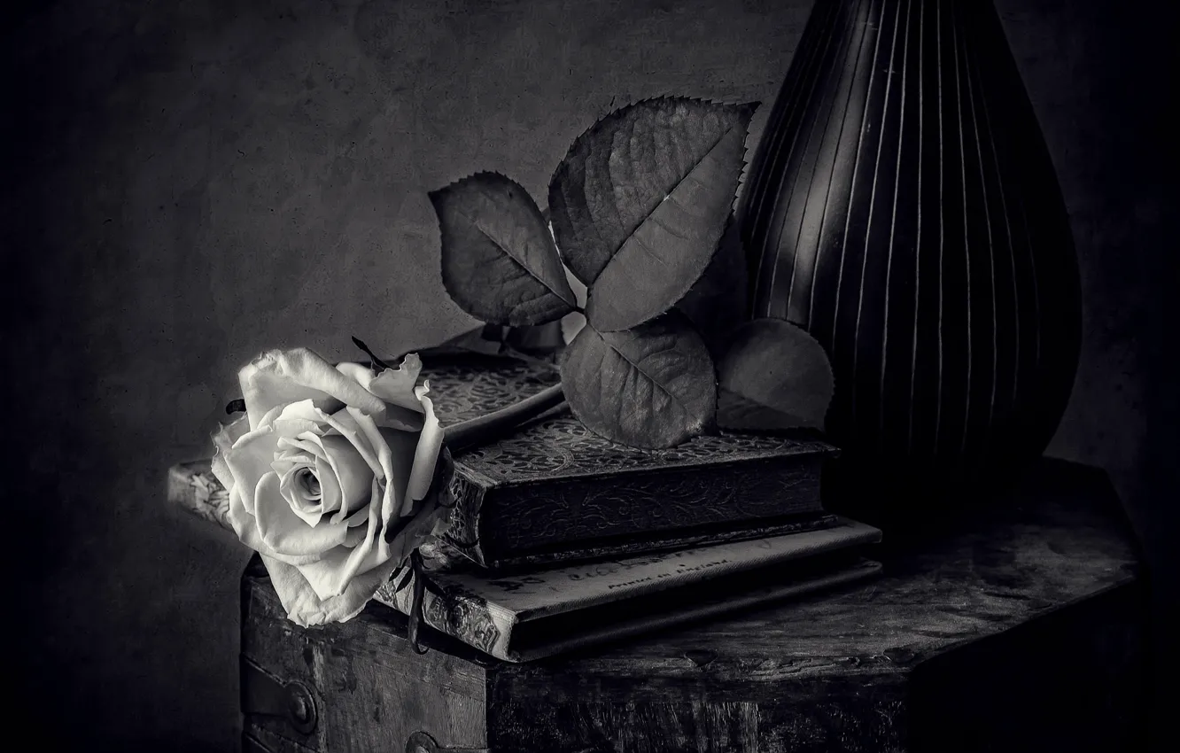 Photo wallpaper black and white, rose, books